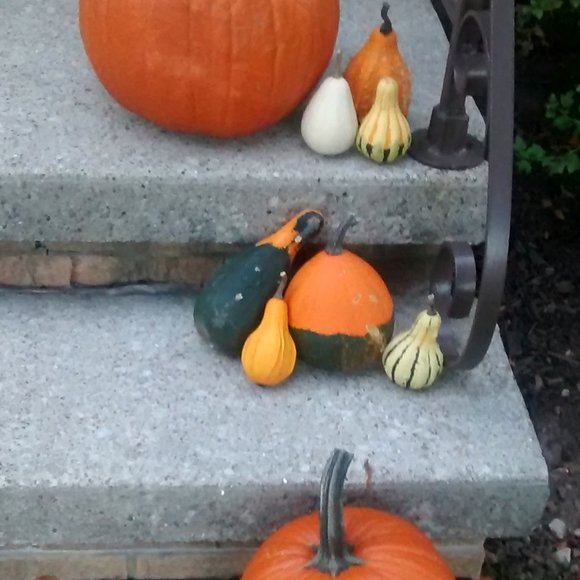 Meet the Posher, Jacqueline - Picture 3 of 4